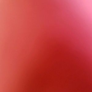 Meet your Posher, Abigail